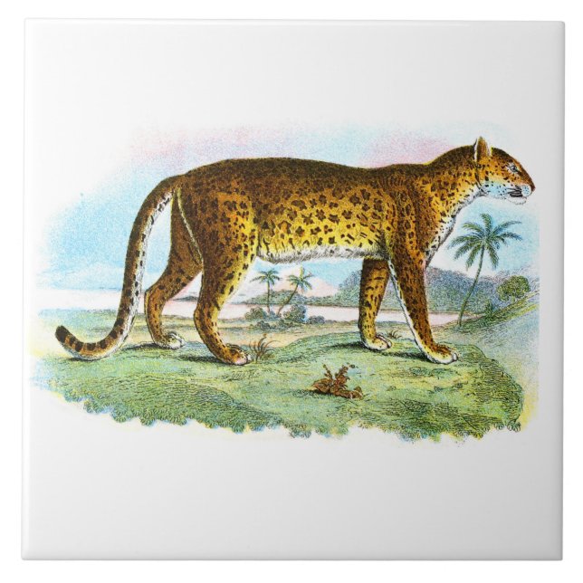 Vintage Leopard Animal Illustration Kakelplatta (Framsidan)