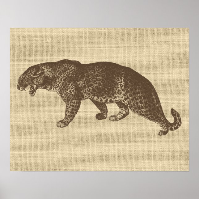 Vintage Leopard Illustration Poster (Framsidan)