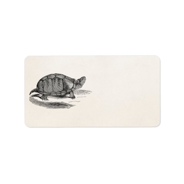 Vintage Lera Tortoise - Reptile turtle Template Adressetikett (Framsidan)