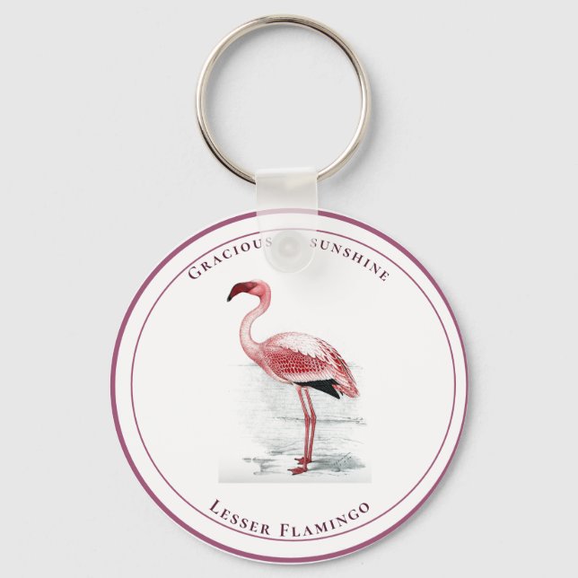 Vintage Lesser Flamingo Gracious as Sunshine Nyckelring (Framsida)