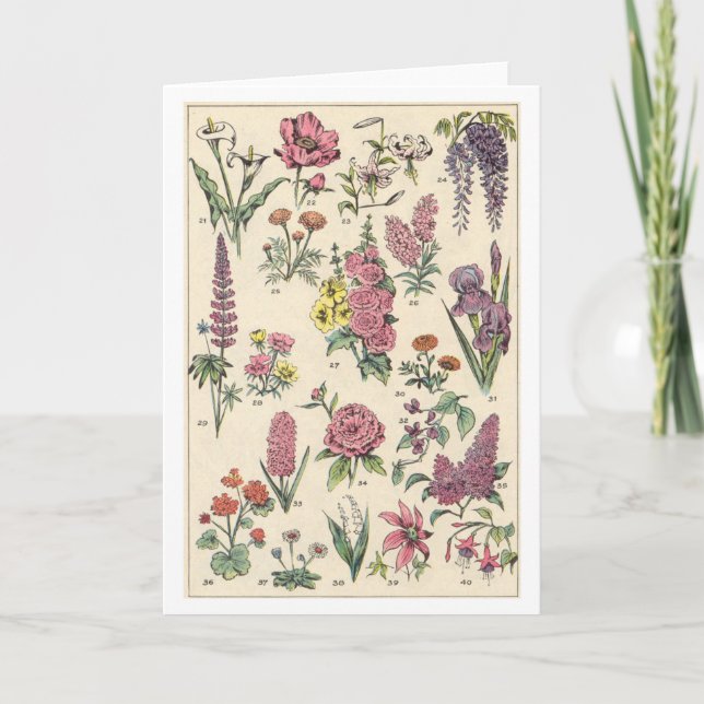 Vintage Lila blommor Kort (Framsida)