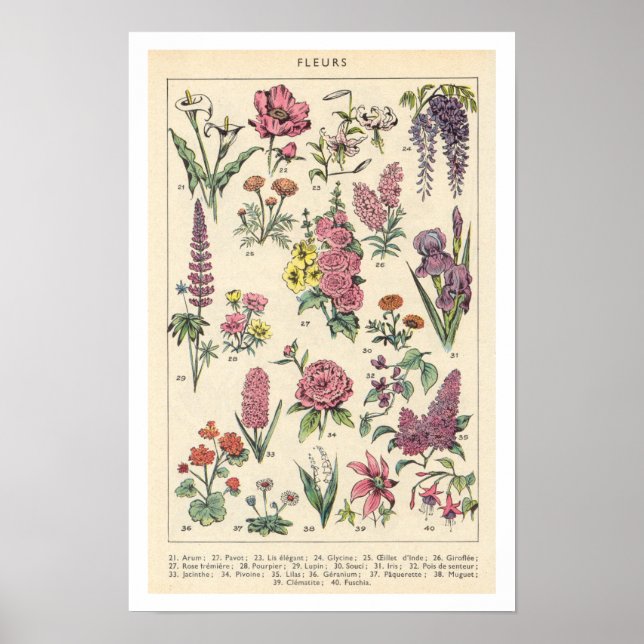 Vintage lila blommor poster (Framsidan)