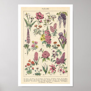 Vintage Lila blommor Poster