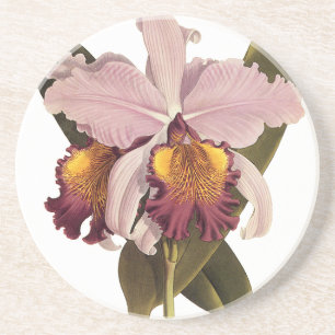 Vintage Lila Cattleya Orchid, Tropical Flowers Underlägg