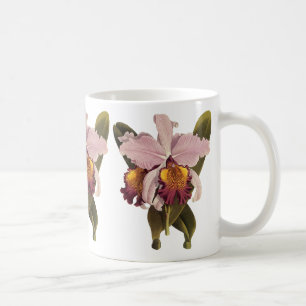 Vintage lila Cattleya orkidé, tropiska blommor Kaffemugg