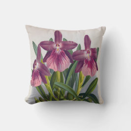 Vintage Lila Dam Orchids Miltonia Spectabilis Kudde