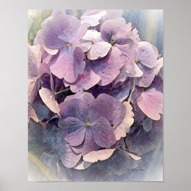 Vintage Lila HydrangeasPhoto Art Poster (Framsidan)