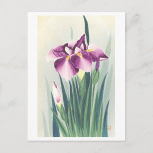 Vintage lila iris från Japan Vykort