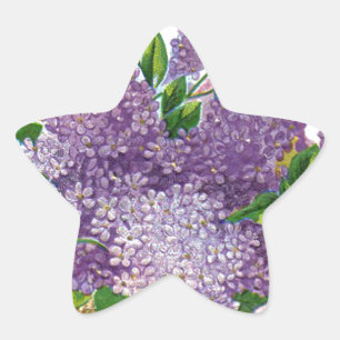 Vintage Lila Lilacs Antique Flower Bouquet Stjärnformat Klistermärke