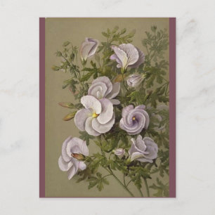 Vintage Lilac Hibiscus Lila blommor Blommigt Vykort