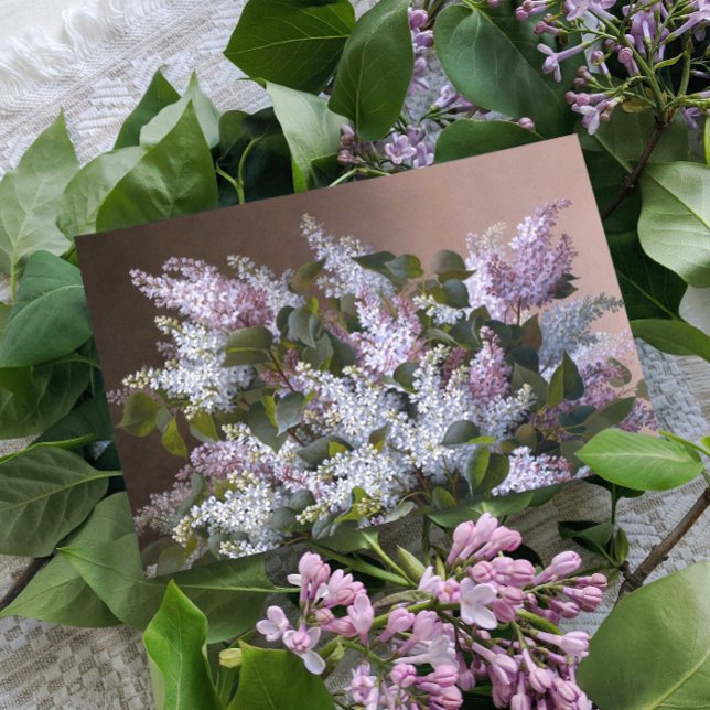 Vintage Lilacs Vykort (Skapare uppladdad)