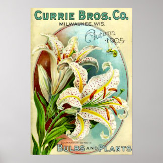 Vintage Lilium Plant Catalog Poster