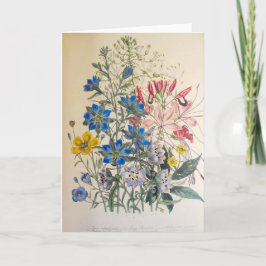Vintage Lin och rengöring av botaniska illustratio Kort