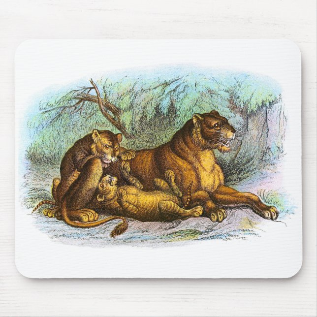 Vintage Lioness och Unge Illustration Mousepad Musmatta (Framsidan)