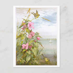 Vintage Lithograf Marsh Mallow med Bird Vykort