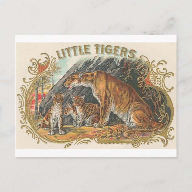 Vintage Little Tigers Vykort (Framsida)