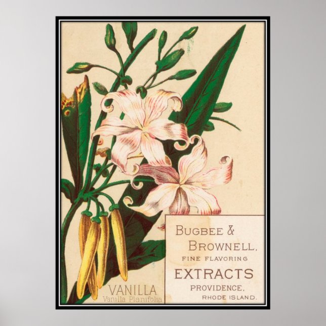 Vintage: livsmedelsreklam - poster (Framsidan)