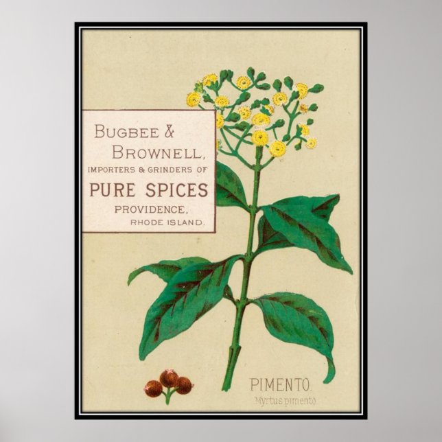 Vintage: livsmedelsreklam - poster (Framsidan)