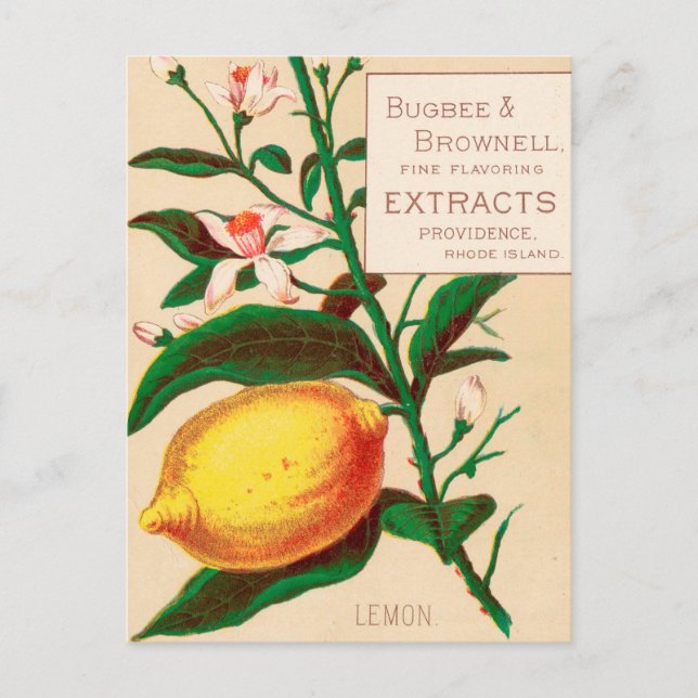 Vintage: livsmedelsreklam - vykort (Framsida)