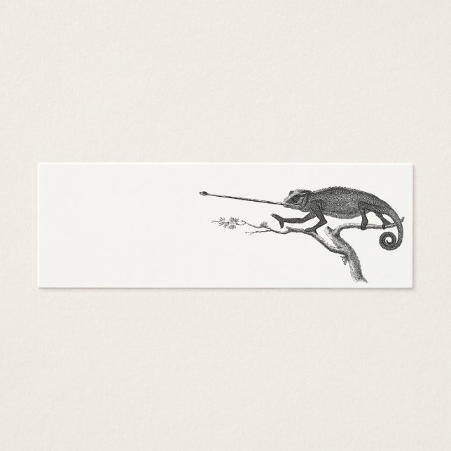 Vintage Lizard Chameleon Illustration Template Litet Visitkort (Framsidan)