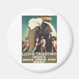 Vintage Lloyd Triestino Indien Magnet