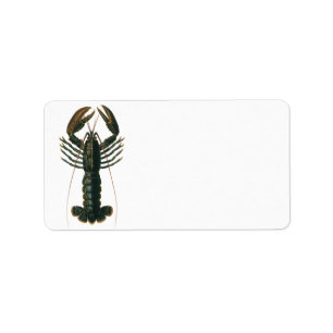 Vintage Lobster, Marine Ocean Life Crustacean Adressetikett