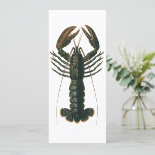 Vintage Lobster, Marine Ocean Life Crustacean Inbjudningar