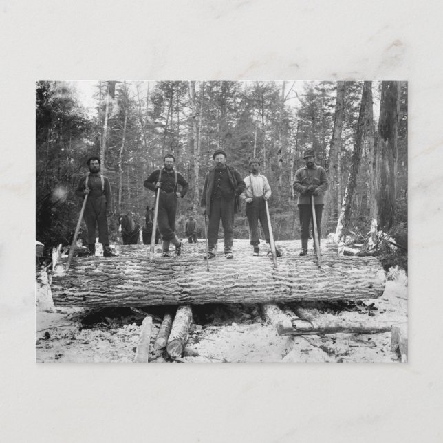 Vintage Loggers Vykort (Framsida)