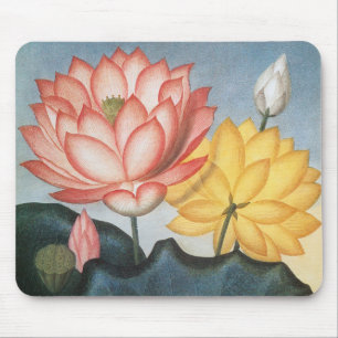 Vintage Lotus Flowers, Helig Egyptian Bean Musmatta