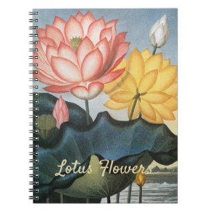 Vintage Lotusblommor, Den Heliga Egyptiska Bönan Anteckningsbok