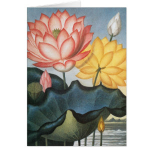 Vintage Lotusblommor, Den Heliga Egyptiska Bönan Hälsningskort