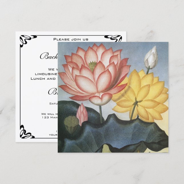 Vintage Lotusblommor Sjungningsfest (Fram/baksida)