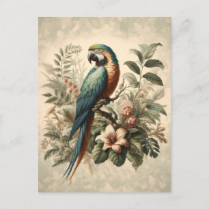 Vintage Macaw Botanical Painting Vykort