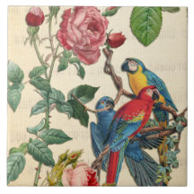 Vintage Macaws och Ro