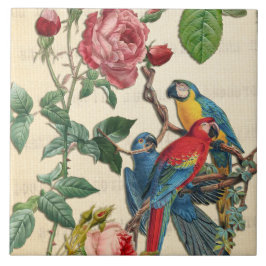 Vintage Macaws och Ro Kakelplatta