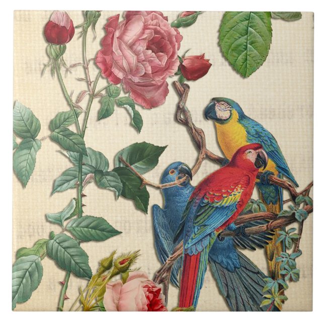 Vintage Macaws och Ro Kakelplatta (Framsidan)