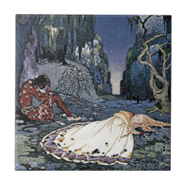 Vintage Magic Romantik Kakelplatta