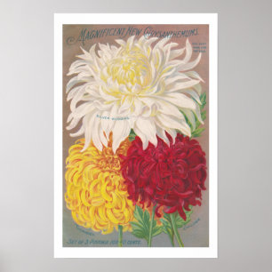 Vintage Magnificent Morsa Poster