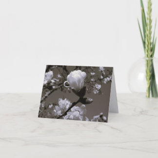 Vintage Magnolia Blossom Notkort – Stugträdgård Tack Kort