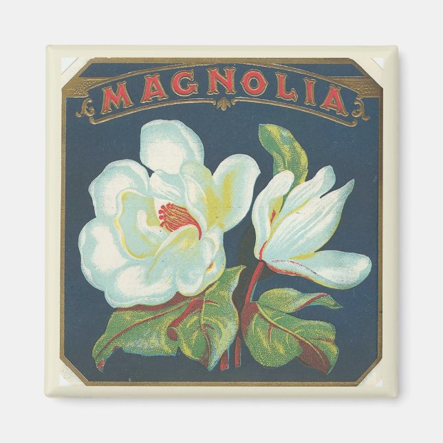 Vintage Magnolia Flower Magnet (Framsidan)