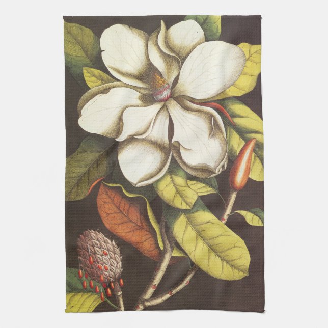 Vintage Magnoliablommor Växt Med Frön Kökshandduk (Vertikal)