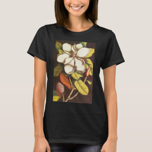 Vintage Magnoliablommor Växt Med Frön Tee