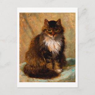 Vintage Maine Coon Katt Fin Konst Porträtt Vykort