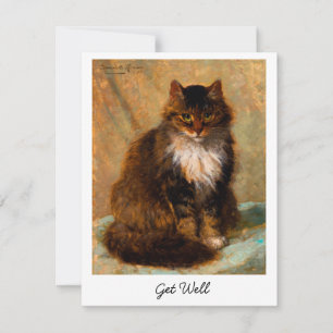 Vintage Maine Coon Katt Fint Konst Hälsa