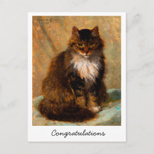 Vintage Maine Coon Katt Gratulationer Vykort