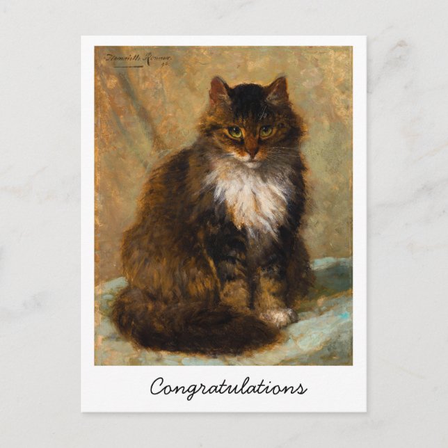 Vintage Maine Coon Katt Gratulationer          Vykort (Framsida)