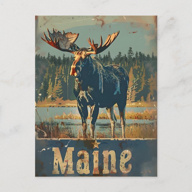 Vintage Maine Moose Vykort (Framsida)