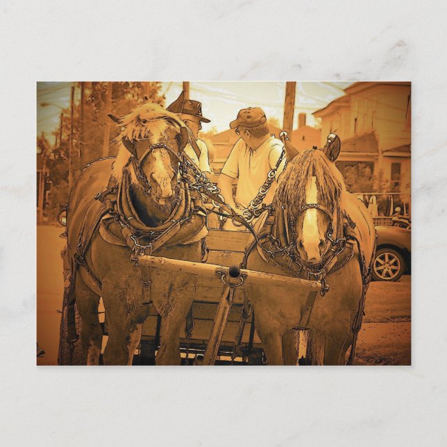 Vintage Maine Vykort (Framsida)