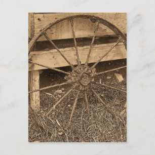 Vintage Maine Vykort