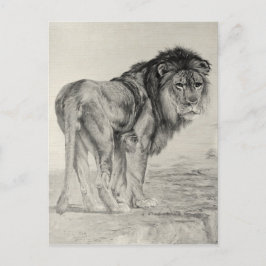 Vintage Majestic Lejon Vykort